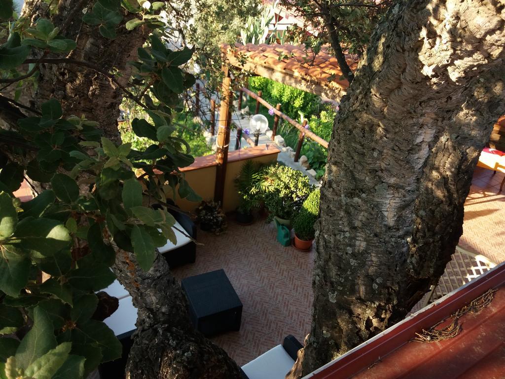 Pensjonat S'Arriali Ranch Iglesias Zewnętrze zdjęcie