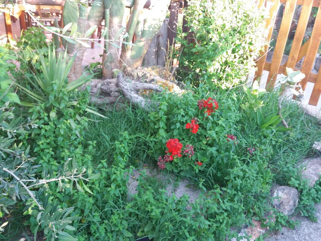 Pensjonat S'Arriali Ranch Iglesias Zewnętrze zdjęcie